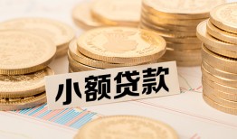 东莞民间哪里有小额贷款-东莞民间身份证贷款平台-东莞民间民间短借